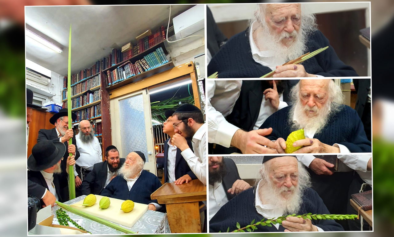 כך מרן שר התורה בוחר את ארבעת המינים • צפו