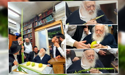 כך מרן שר התורה בוחר את ארבעת המינים • צפו