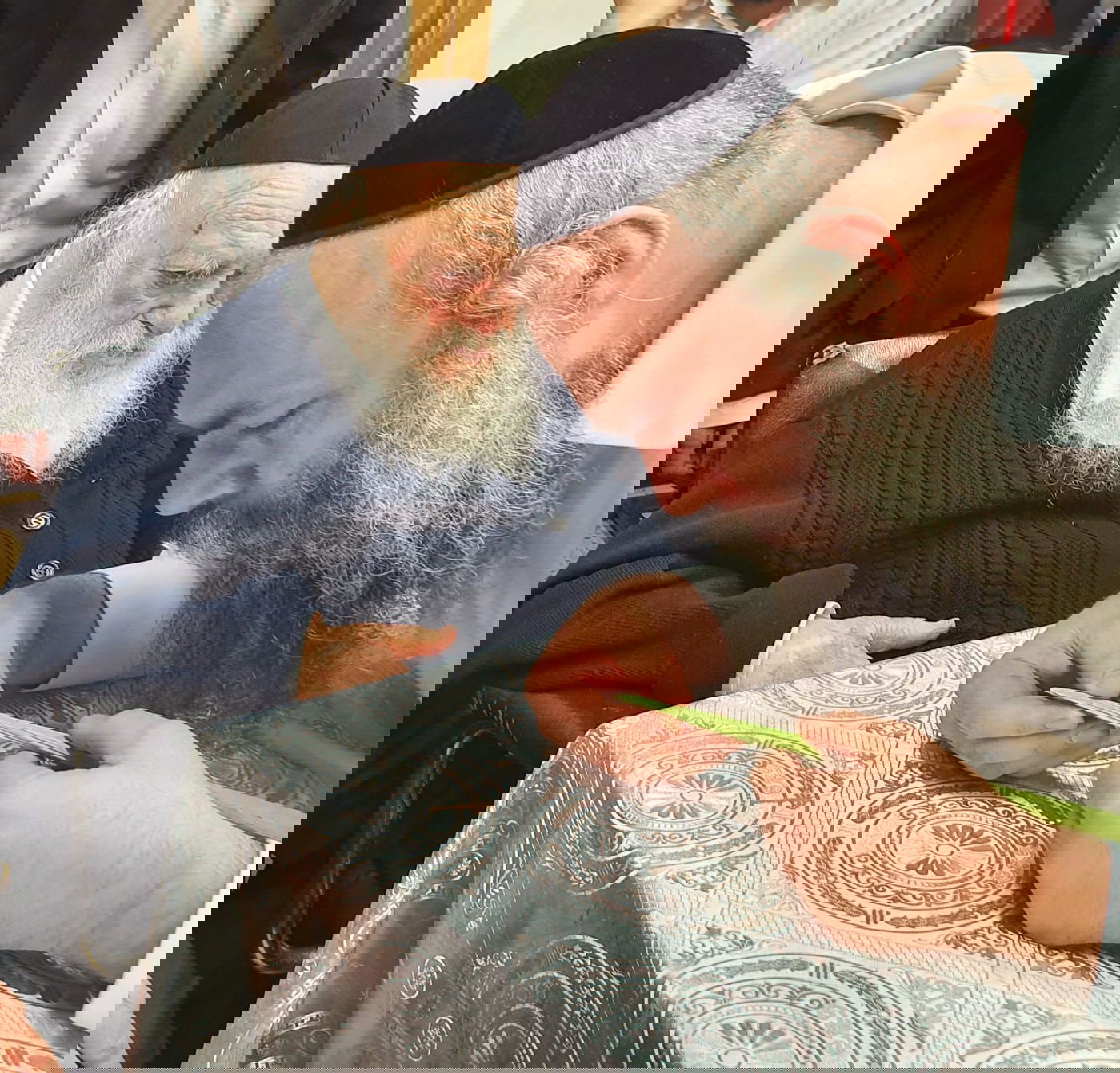 כך מרן שר התורה בוחר את ארבעת המינים • צפו