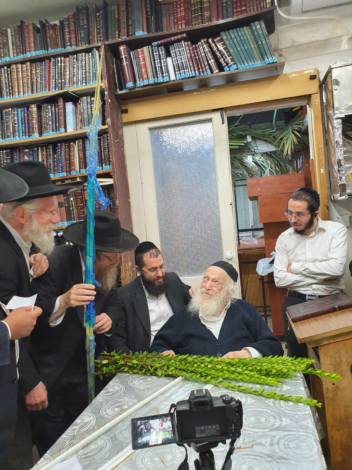 כך מרן שר התורה בוחר את ארבעת המינים • צפו