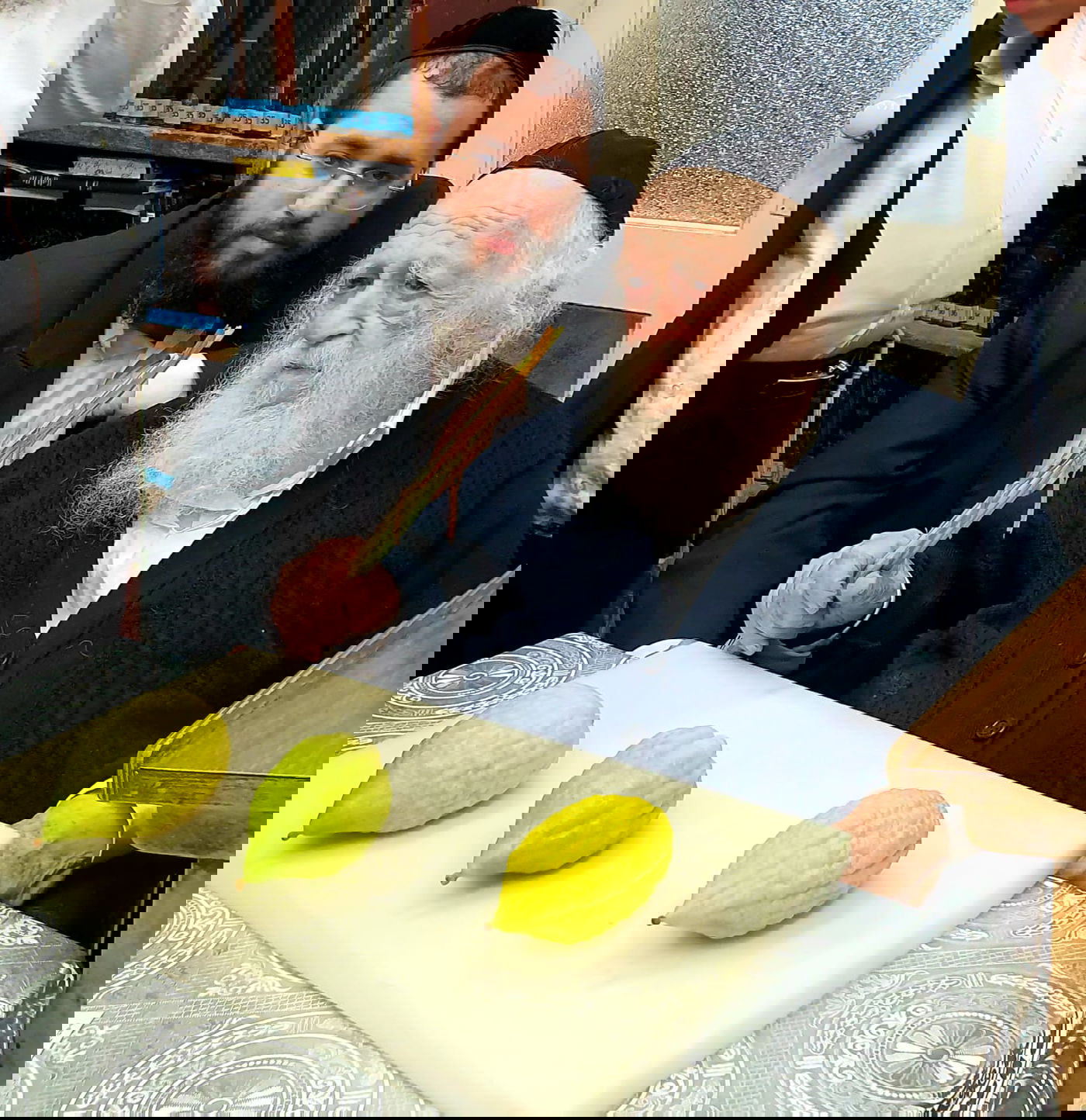 כך מרן שר התורה בוחר את ארבעת המינים • צפו