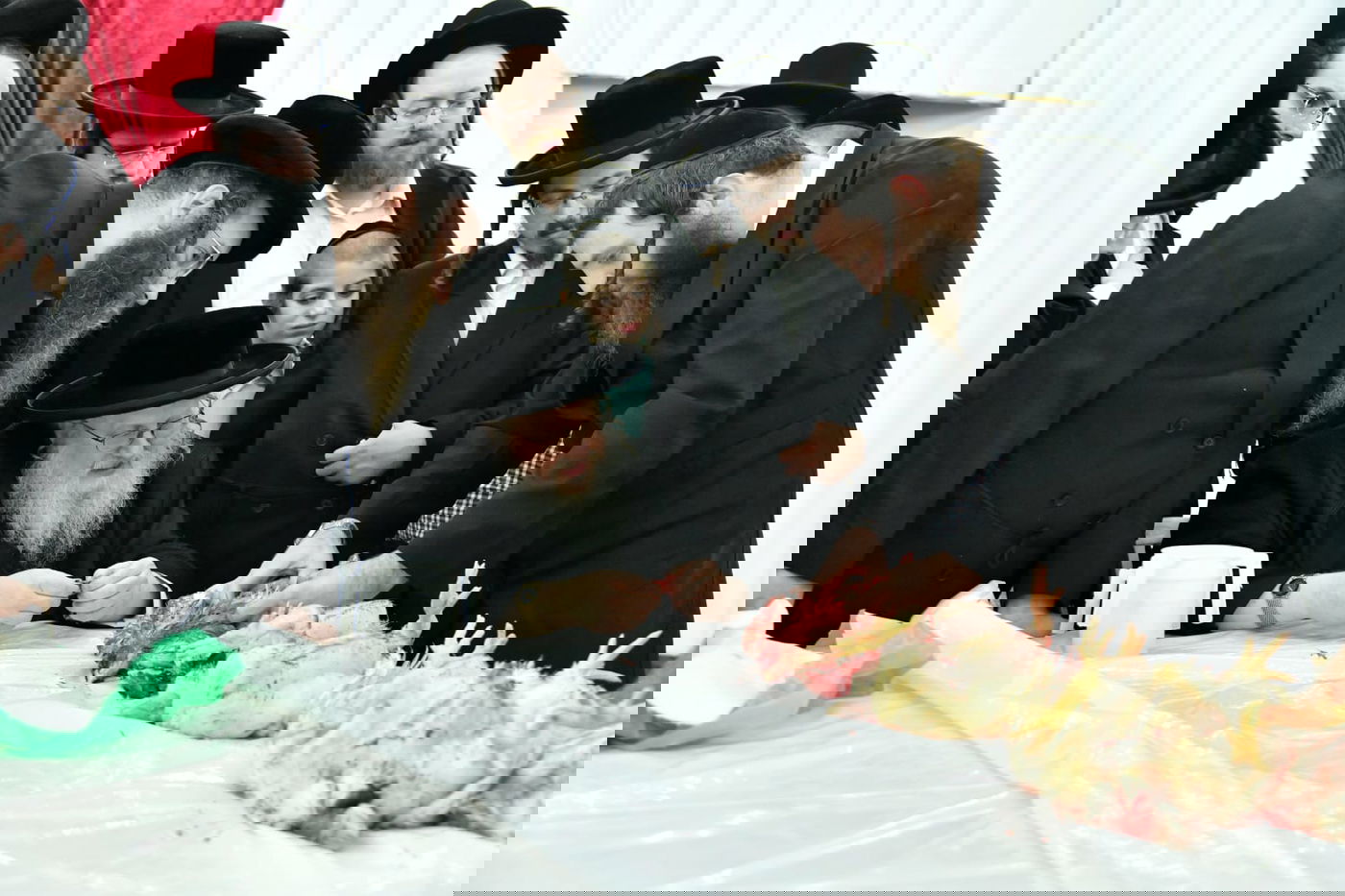 האדמו"ר מסאסוב במעמד 'כפרות' ושחיטה