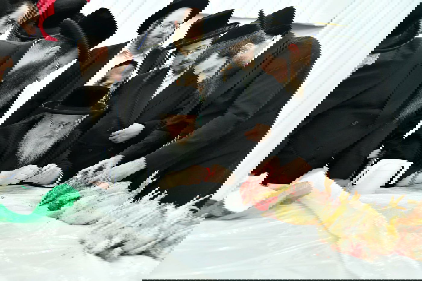 האדמו"ר מסאסוב במעמד 'כפרות' ושחיטה