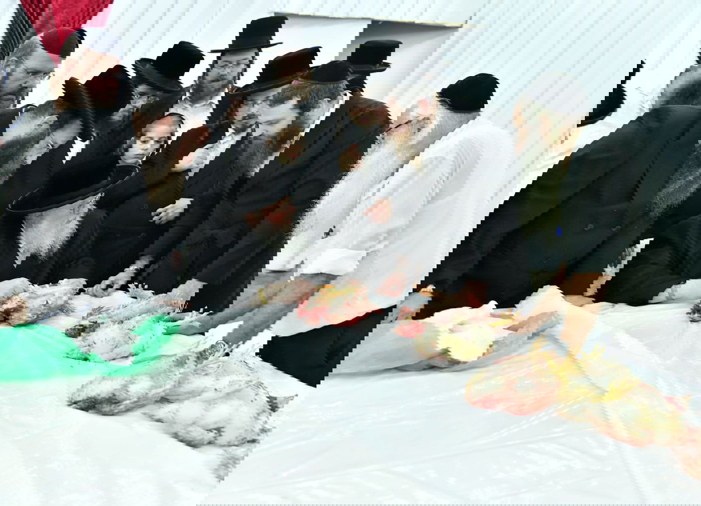 האדמו"ר מסאסוב במעמד 'כפרות' ושחיטה