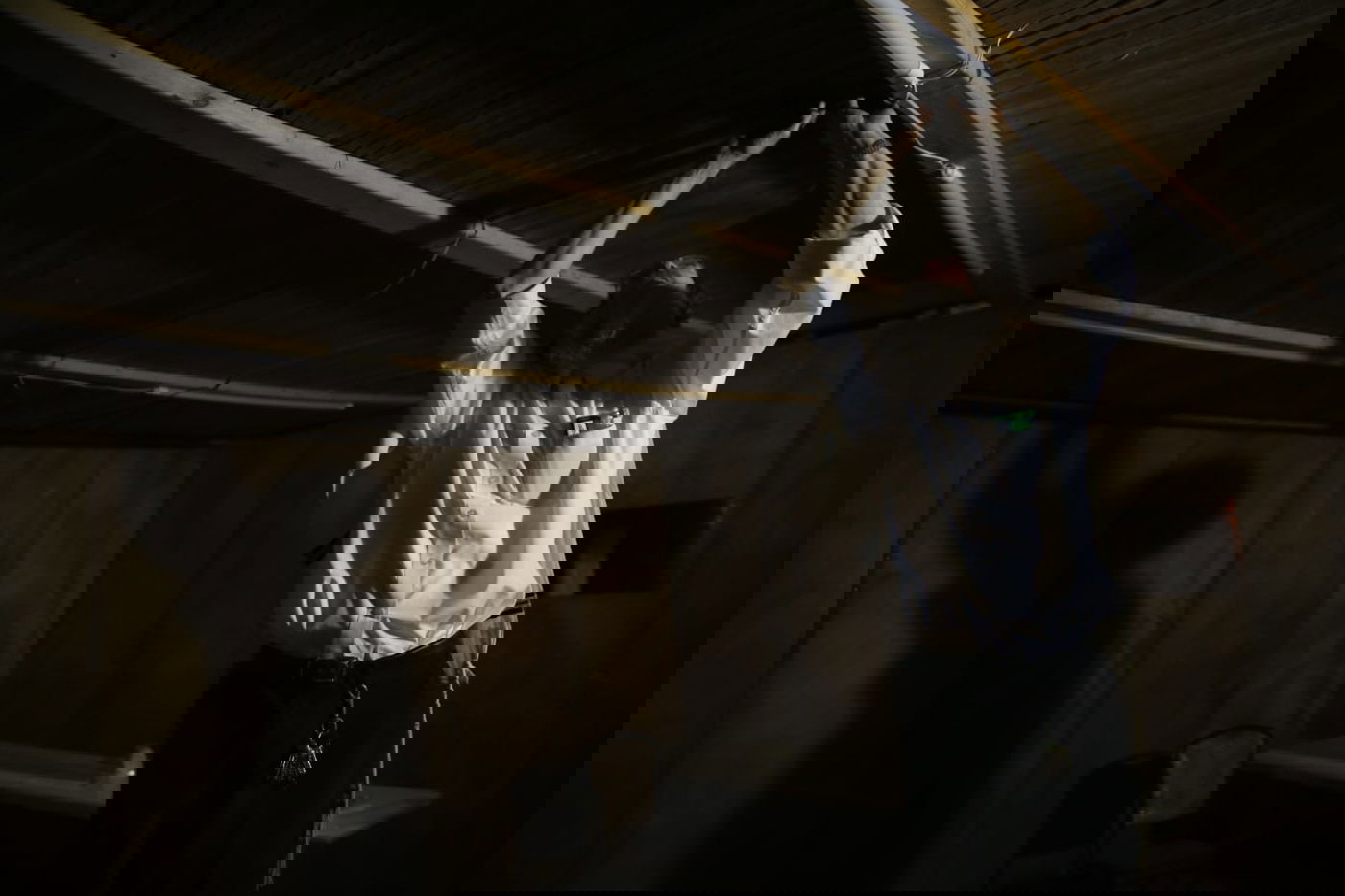 ד' מינים וסוכות: מוצאי כיפור - במאה שערים