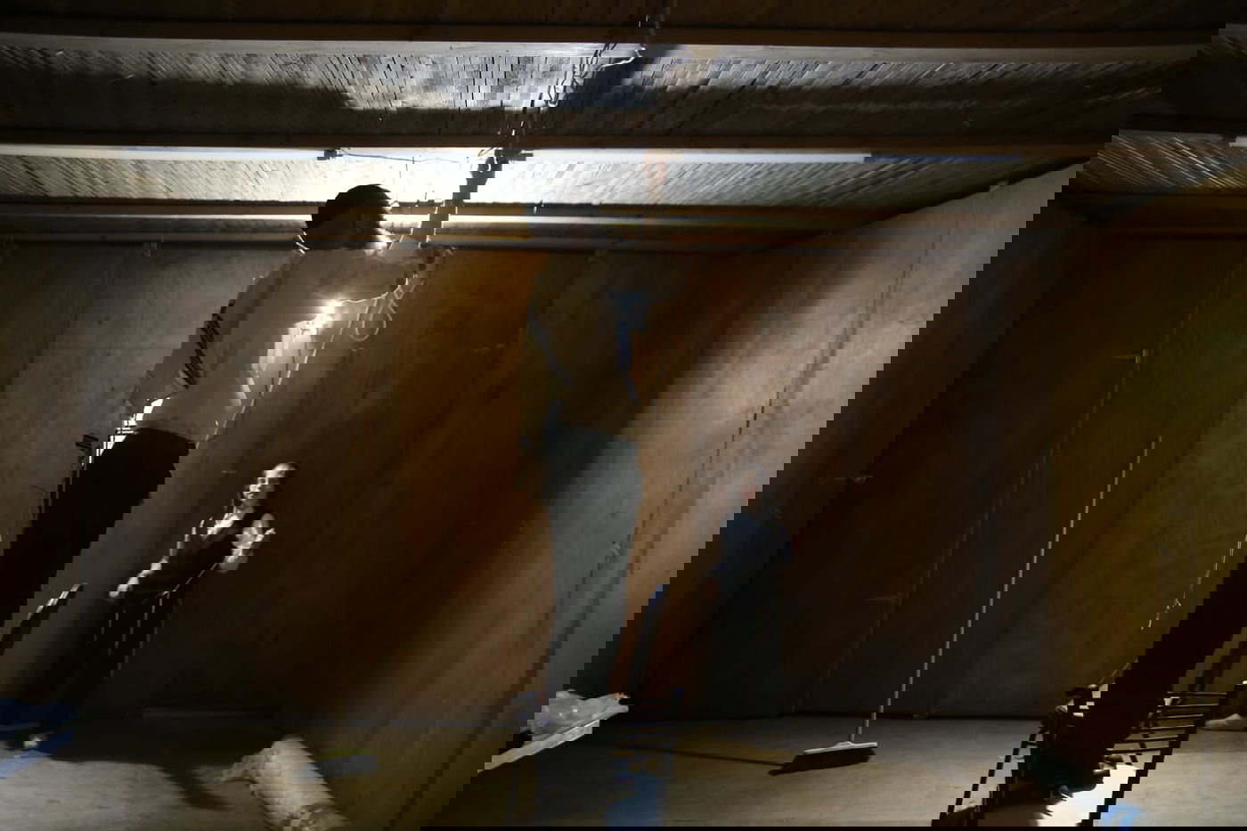 ד' מינים וסוכות: מוצאי כיפור - במאה שערים