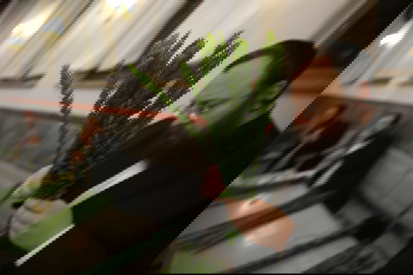 ד' מינים וסוכות: מוצאי כיפור - במאה שערים