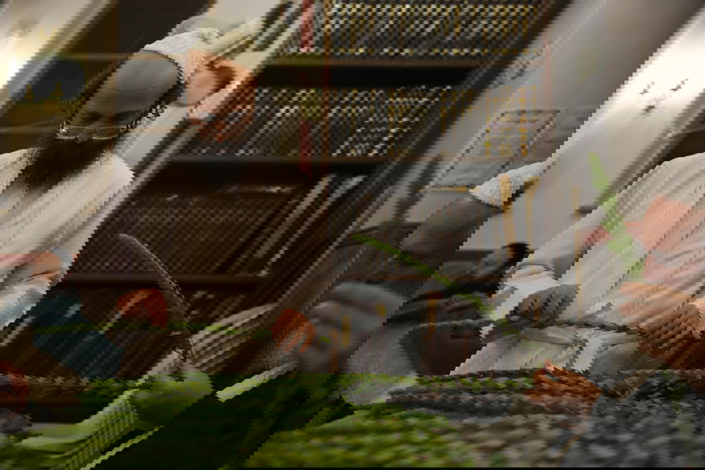 ד' מינים וסוכות: מוצאי כיפור - במאה שערים