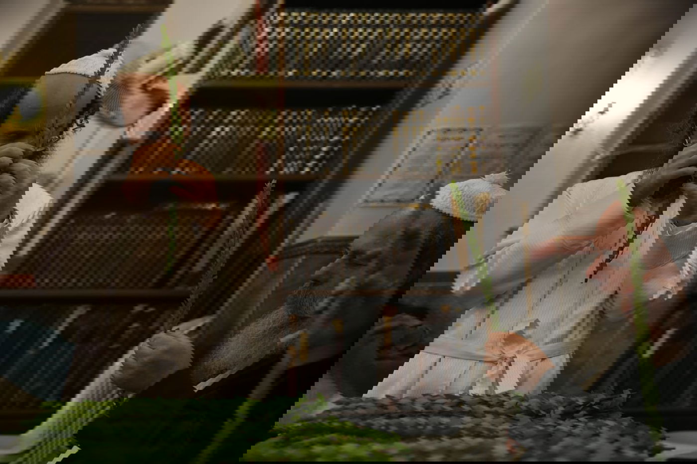 ד' מינים וסוכות: מוצאי כיפור - במאה שערים