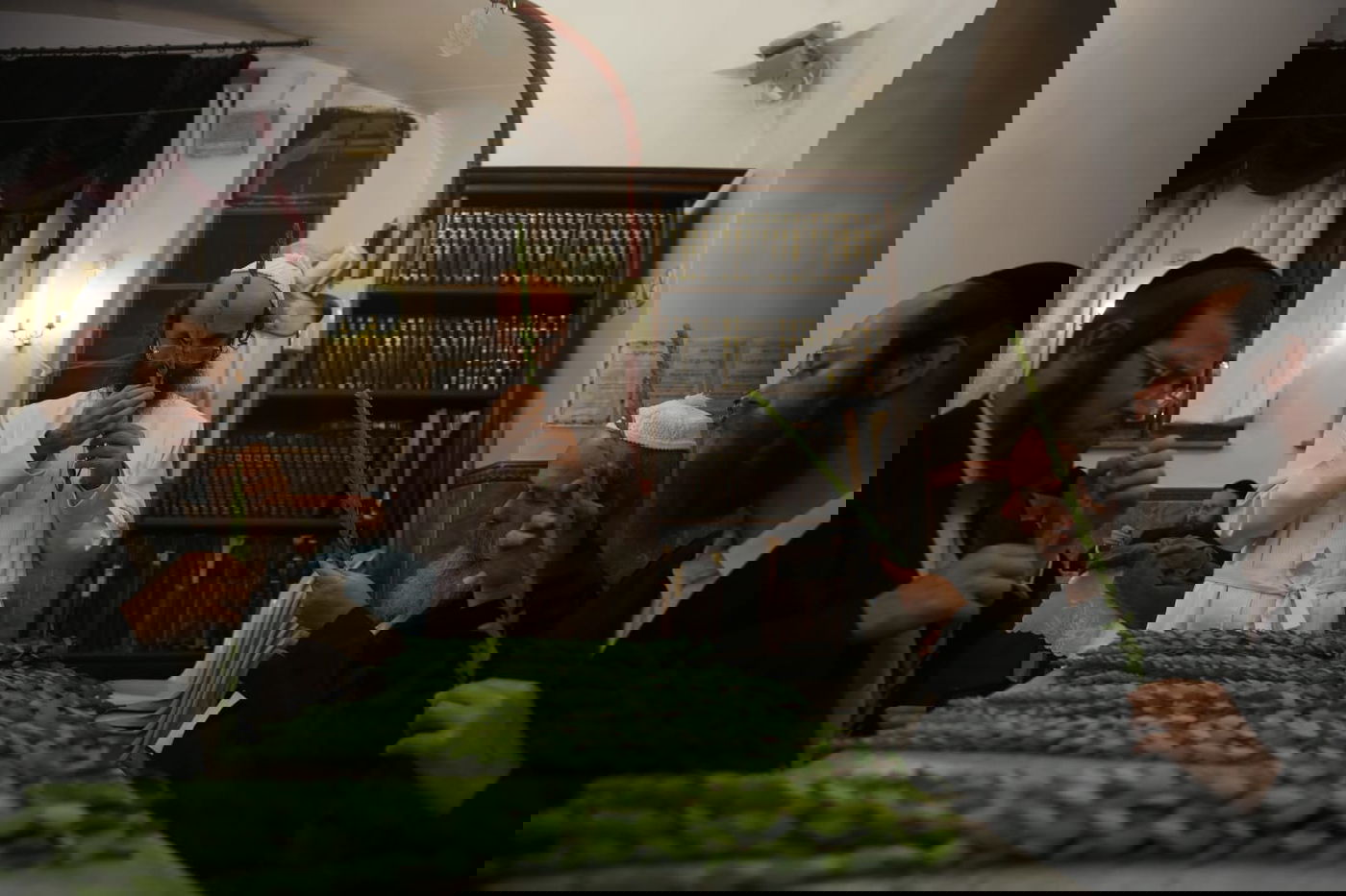 ד' מינים וסוכות: מוצאי כיפור - במאה שערים