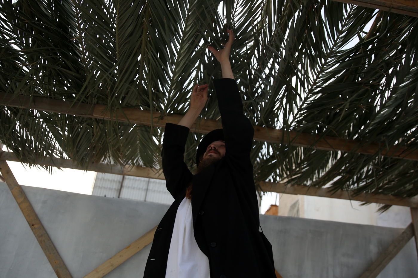 העבודה של המחמירים: סוחבים סכך • תיעוד