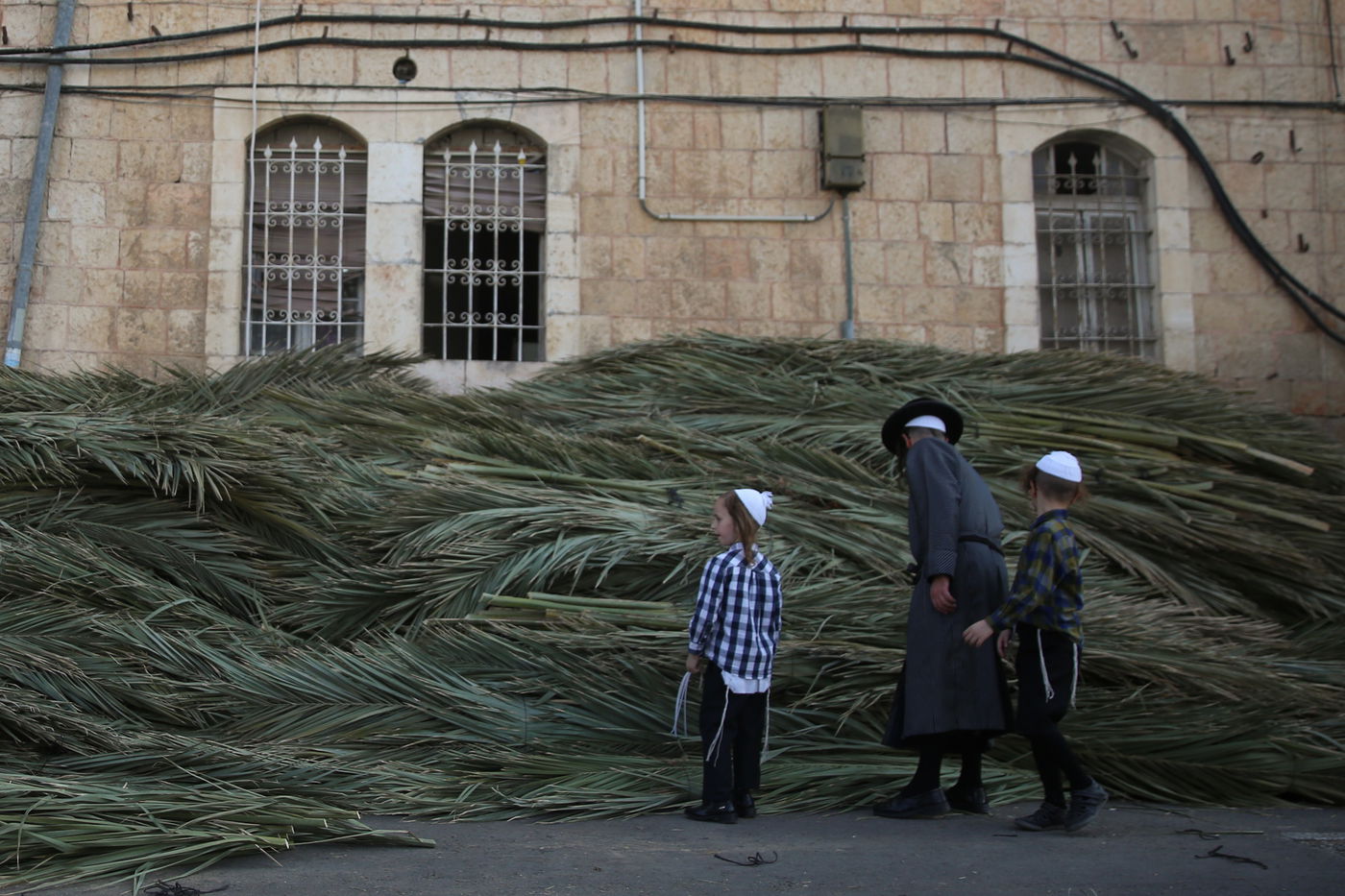 העבודה של המחמירים: סוחבים סכך • תיעוד