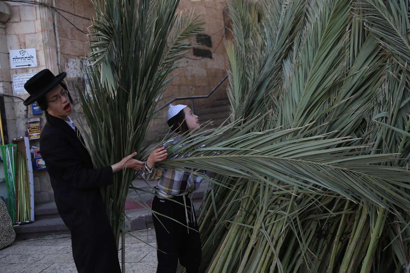 העבודה של המחמירים: סוחבים סכך • תיעוד