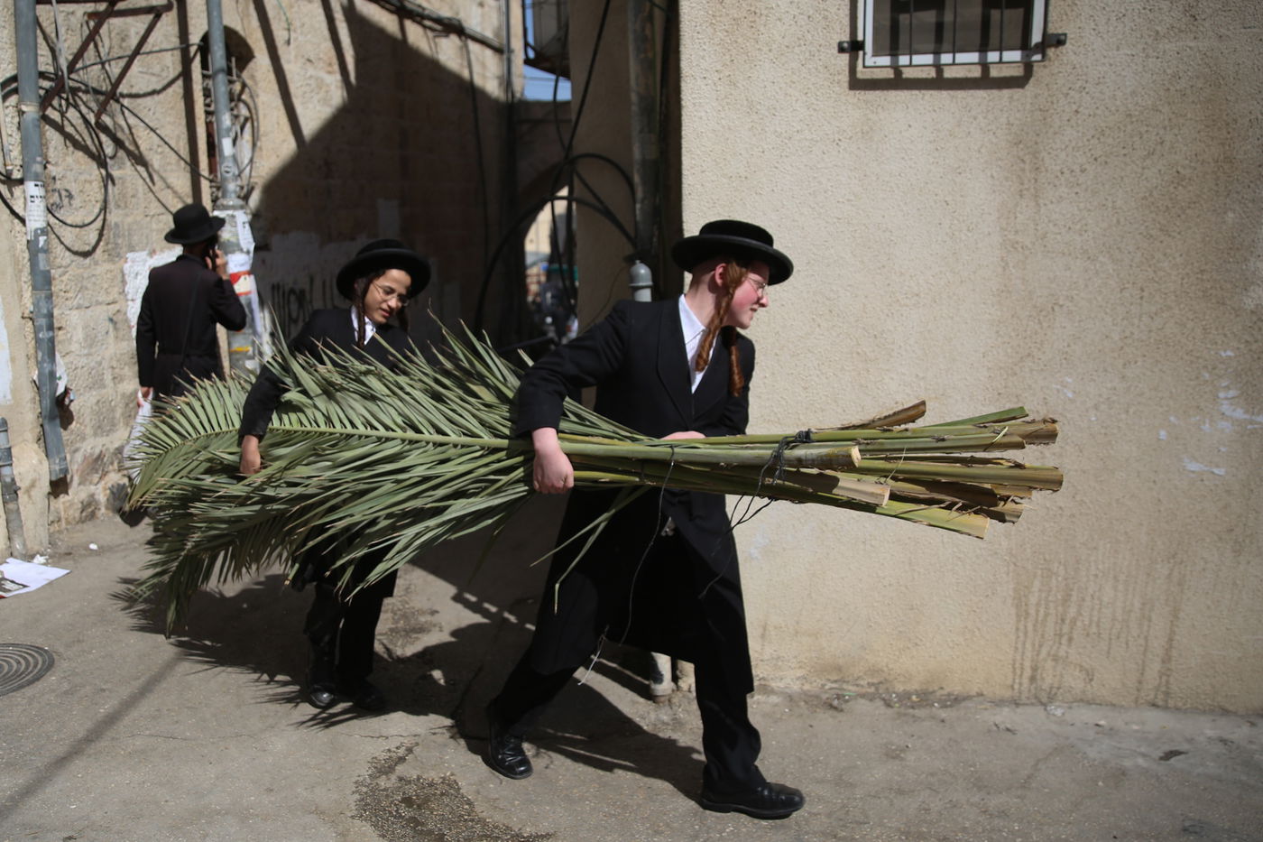 העבודה של המחמירים: סוחבים סכך • תיעוד
