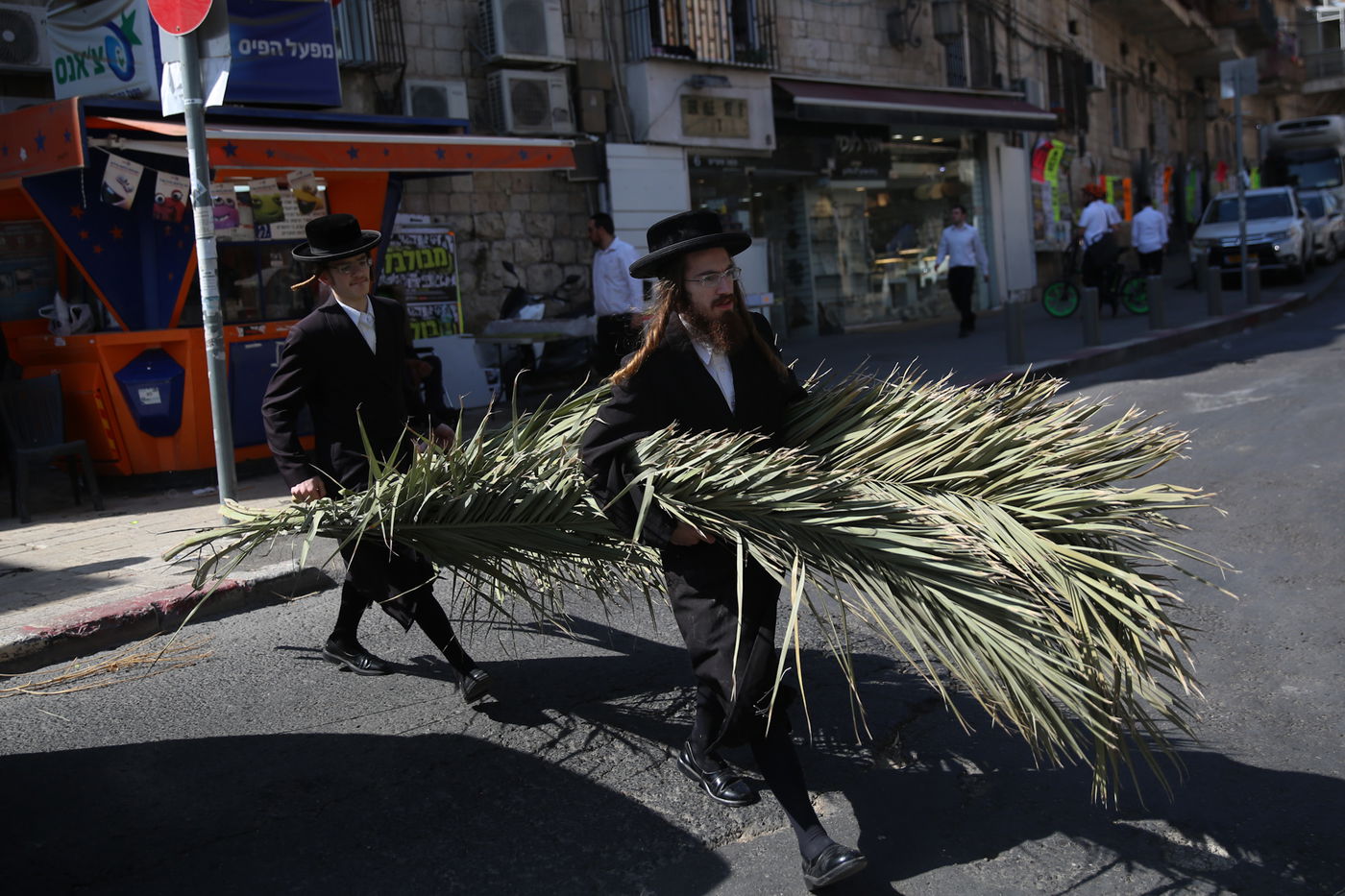 העבודה של המחמירים: סוחבים סכך • תיעוד