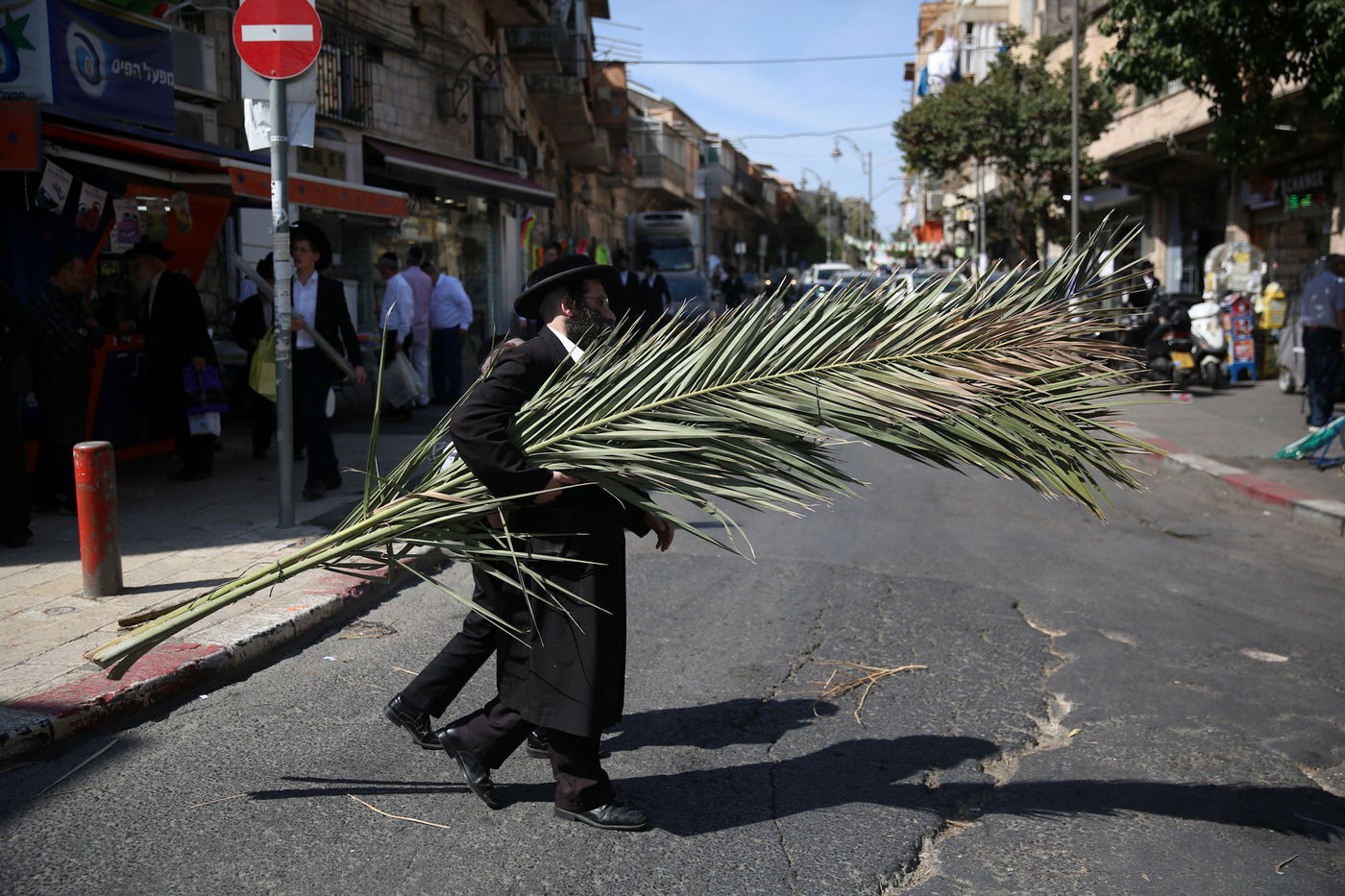 העבודה של המחמירים: סוחבים סכך • תיעוד