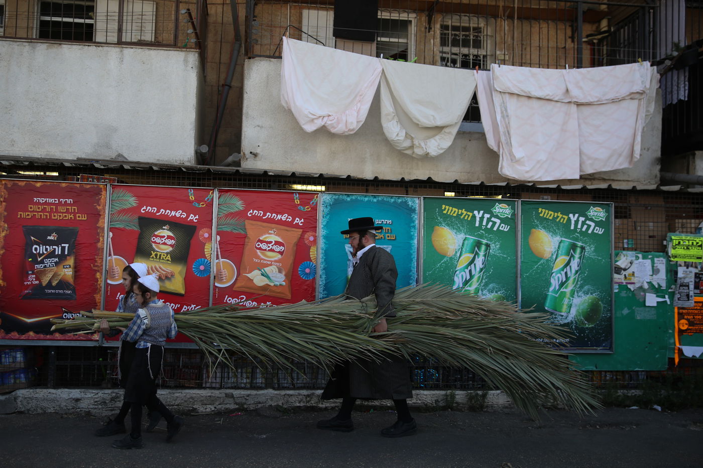 העבודה של המחמירים: סוחבים סכך • תיעוד