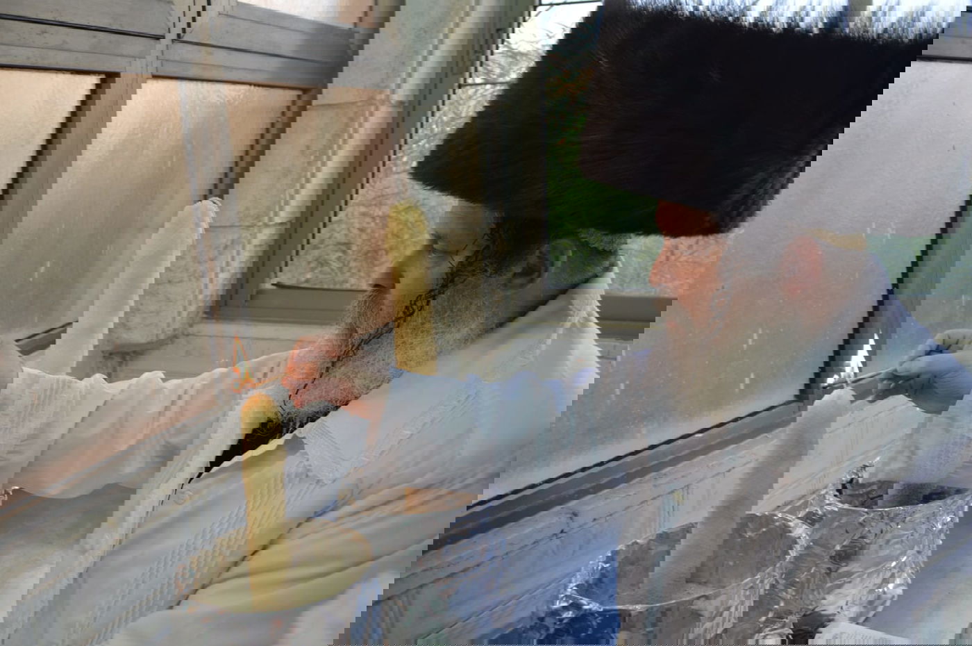 הרבי עלה על הסולם וסיכך בידיו את הסוכה