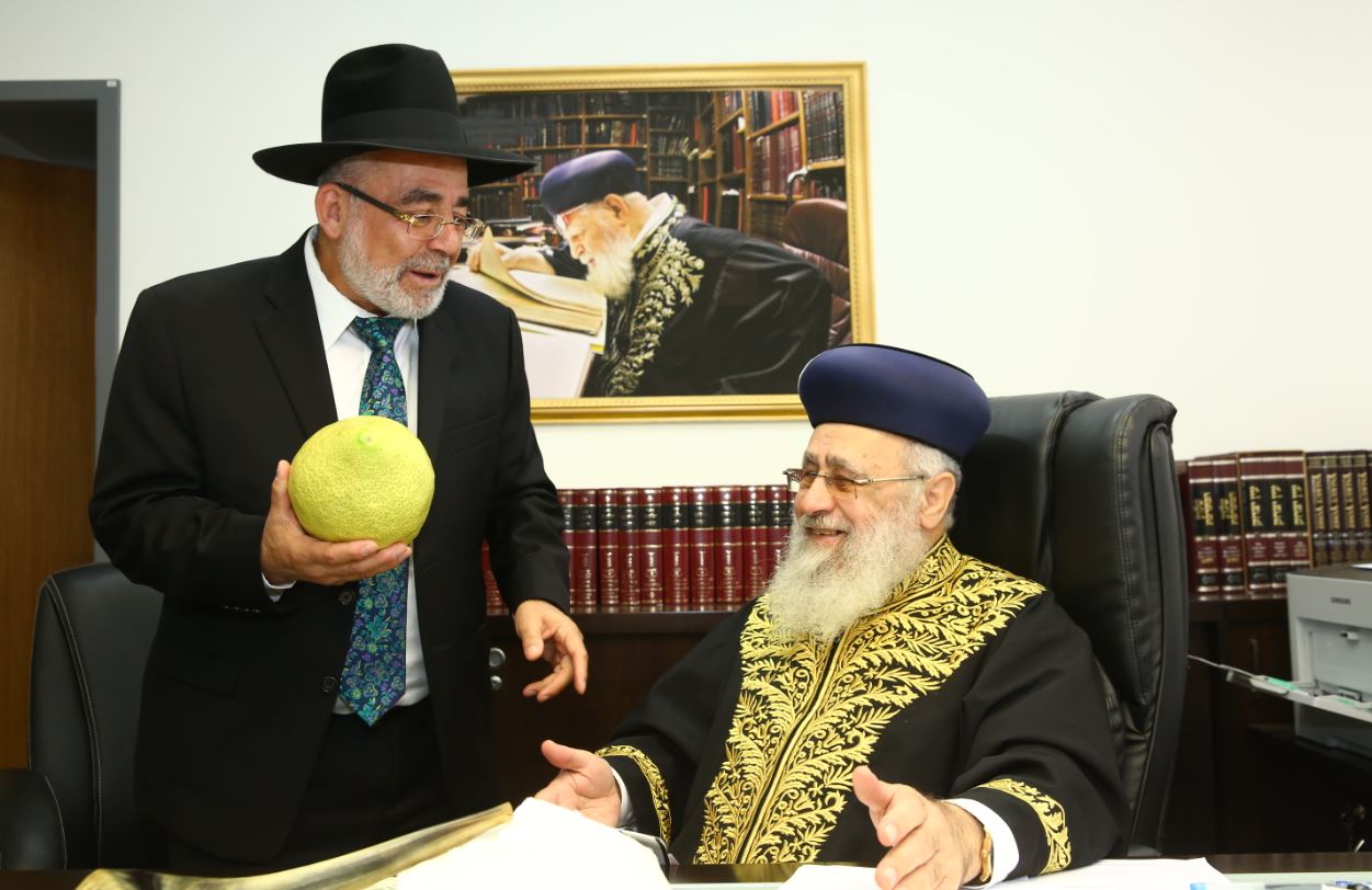 הראשון לציון הגר"י יוסף קיבל בחיוך אתרוג תימני ענק. צפו