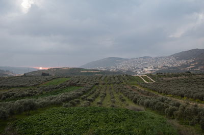 התחזית: מעונן וטמפרטורות גבוהות מהרגיל
