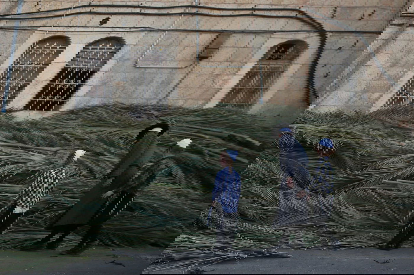 התחזית: ירידה בטמפרטורות, מעונן חלקית