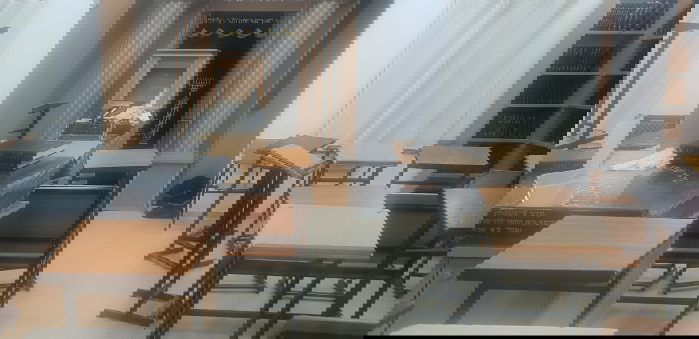 בסלבודקא: כלב התנחל ב'מזרח' על יד ארון הקודש