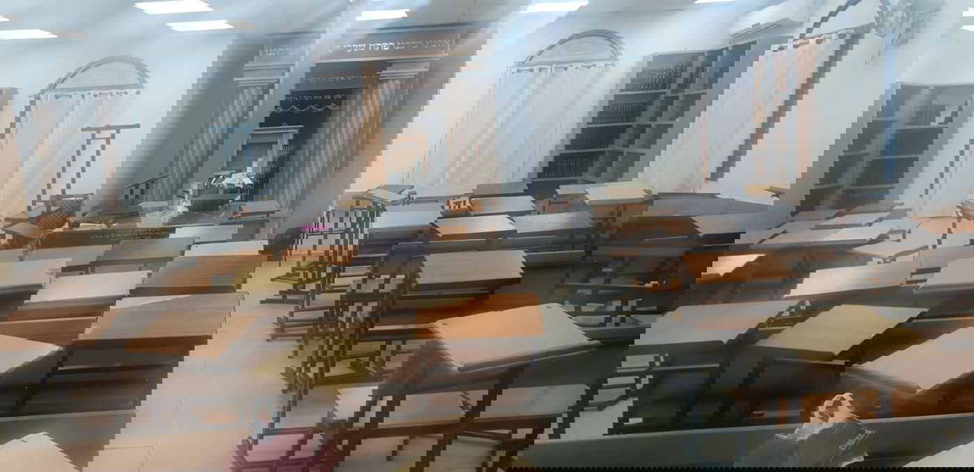 בסלבודקא: כלב התנחל ב'מזרח' על יד ארון הקודש