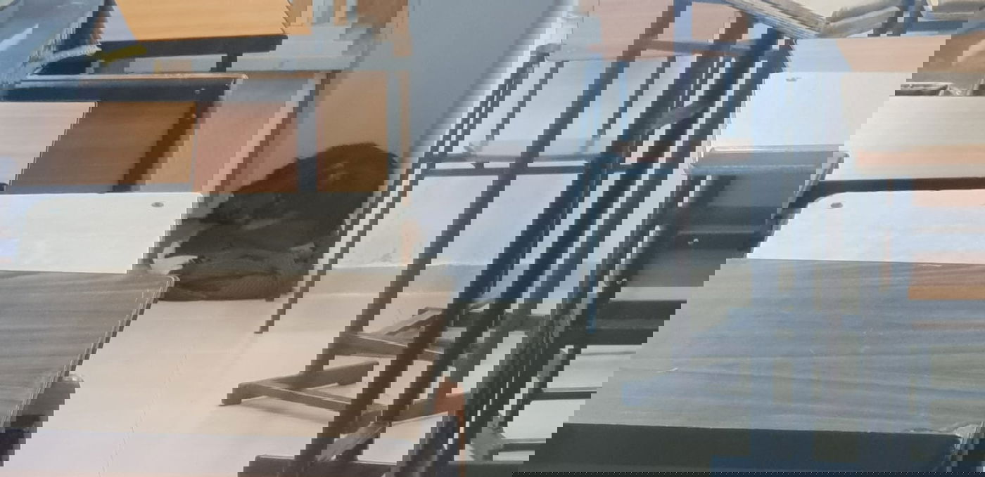 בסלבודקא: כלב התנחל ב'מזרח' על יד ארון הקודש