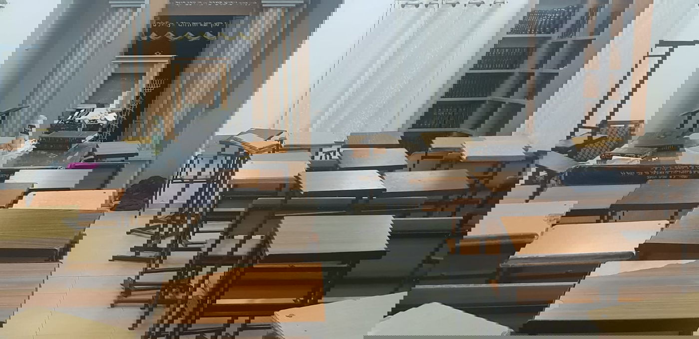 בסלבודקא: כלב התנחל ב'מזרח' על יד ארון הקודש