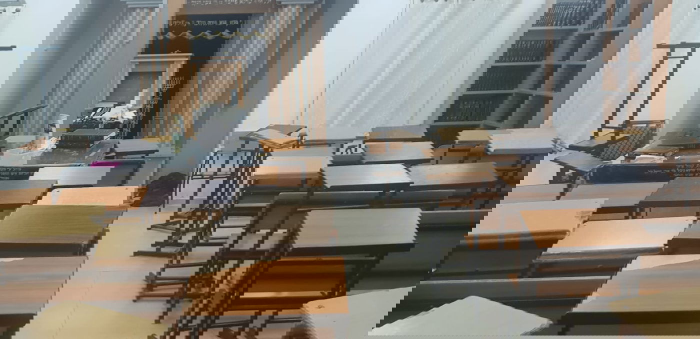 בסלבודקא: כלב התנחל ב'מזרח' על יד ארון הקודש