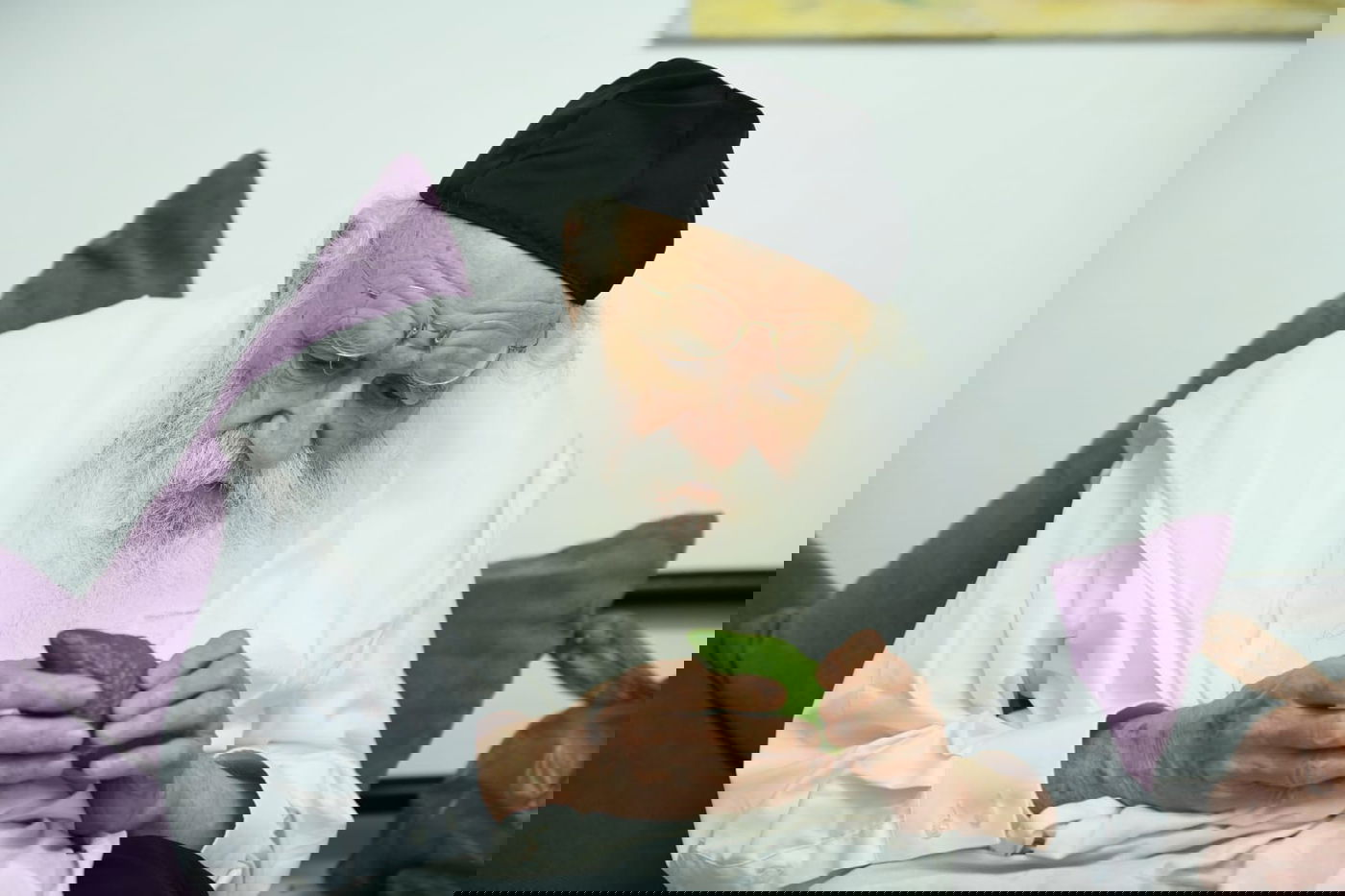 צפו: מהאתרוג עד ההבדלה; חג ראשון אצל הגאון רבי מאיר גריינמן