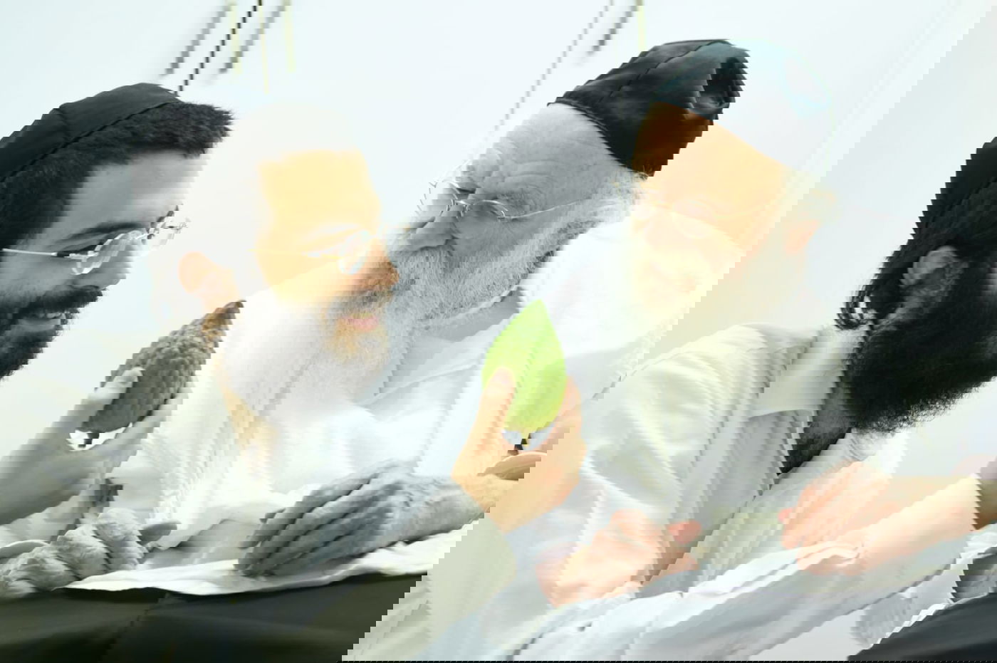 צפו: מהאתרוג עד ההבדלה; חג ראשון אצל הגאון רבי מאיר גריינמן