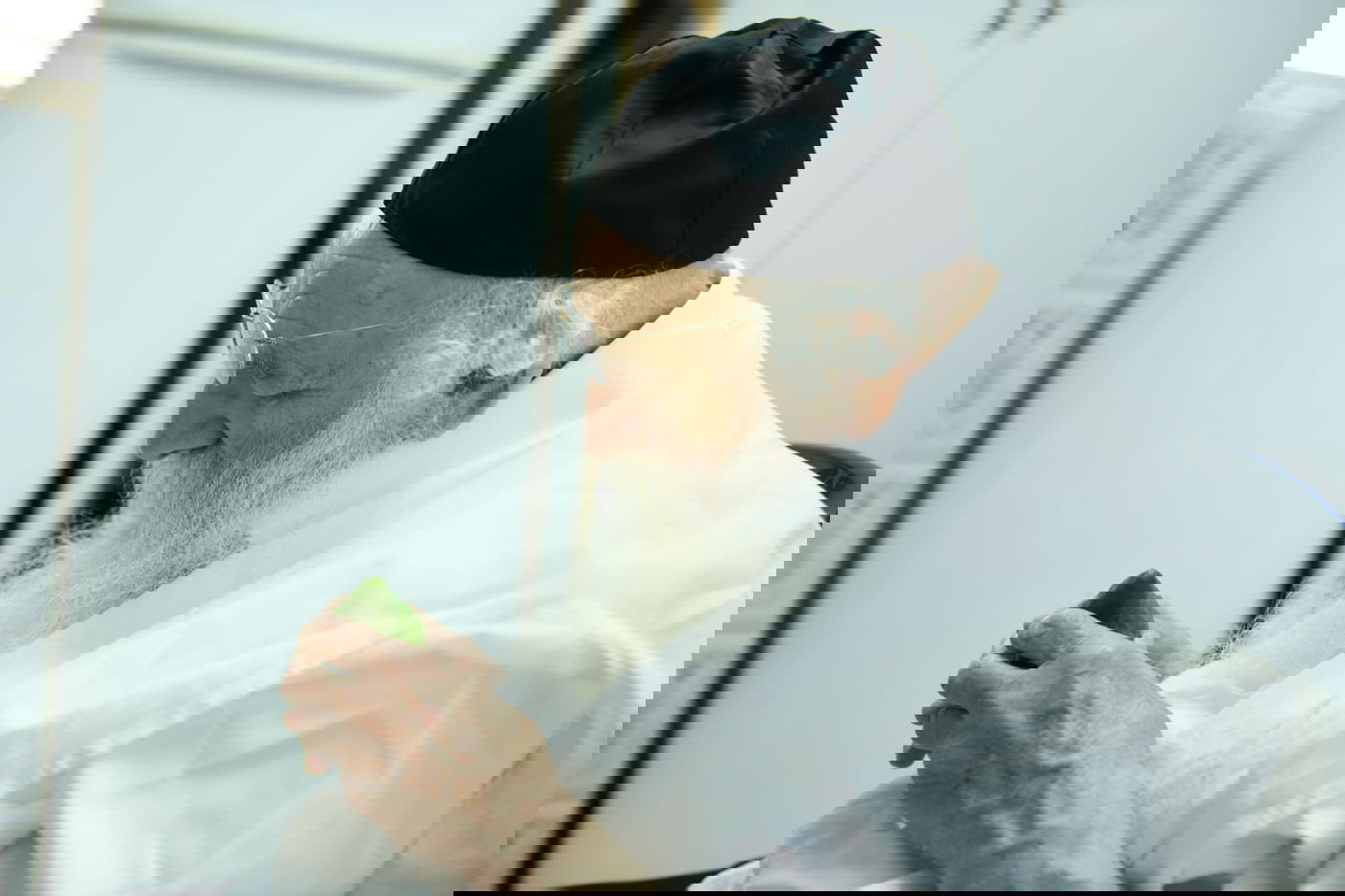 צפו: מהאתרוג עד ההבדלה; חג ראשון אצל הגאון רבי מאיר גריינמן