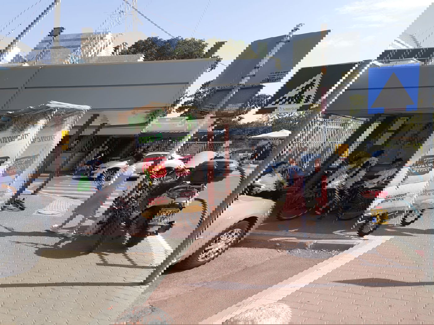 גם החיילים בירכו: "מבצע לולב" של חב"ד