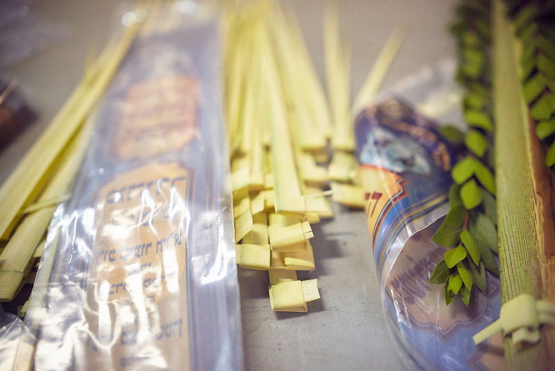 הימים הראשונים של חג הסוכות בבירת רוסיה