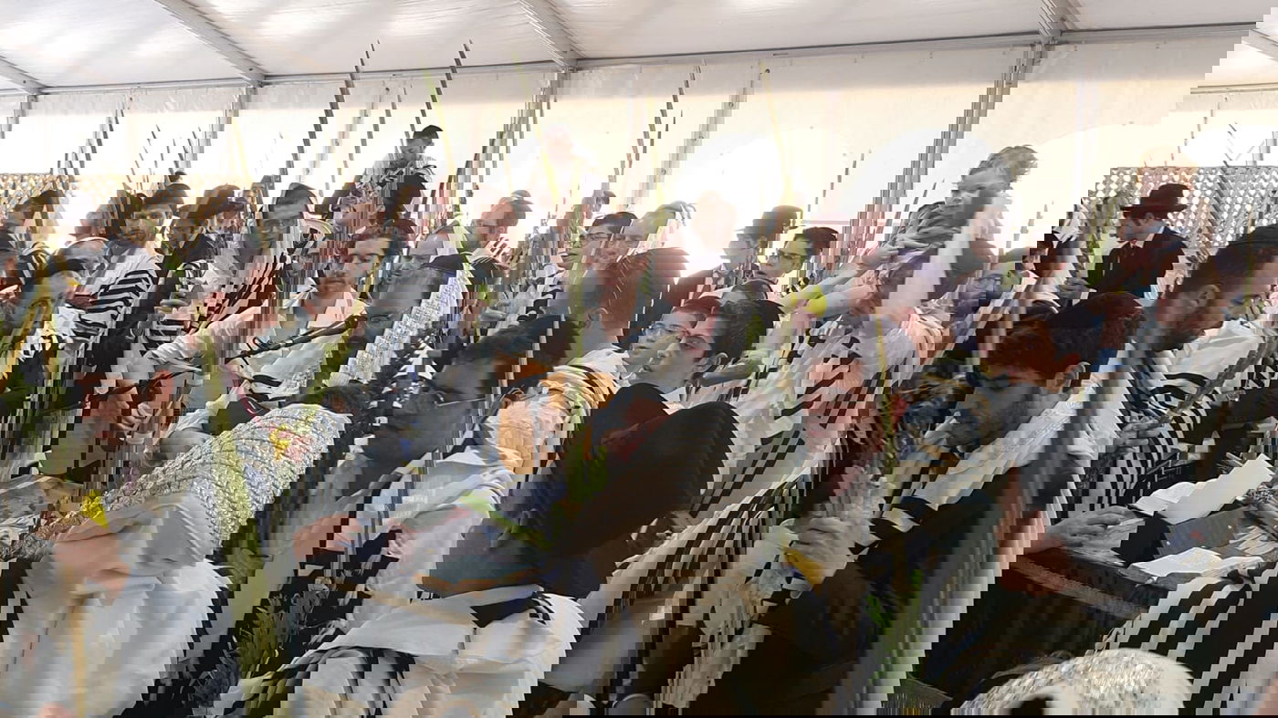 תפילת חול המועד בנוסח קרליבך • תיעוד סוחף