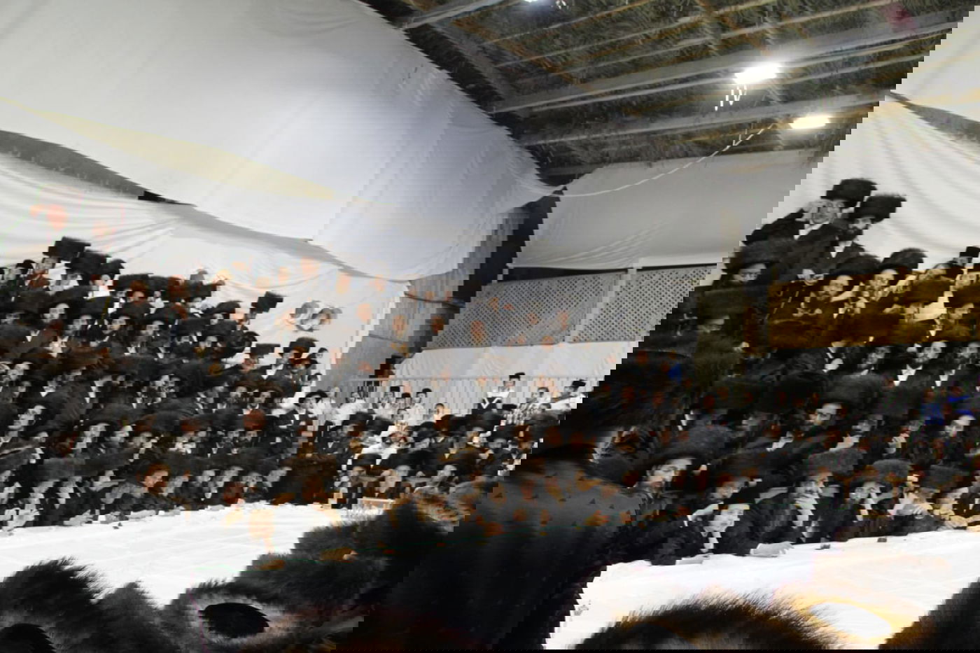 האדמו"ר ממכנובקא חילק 'פרנסה ברויט'