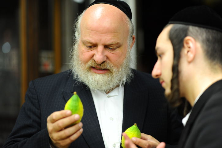 האתרוג המכוער, אך המושלם שלי // עמוס ביסמוט