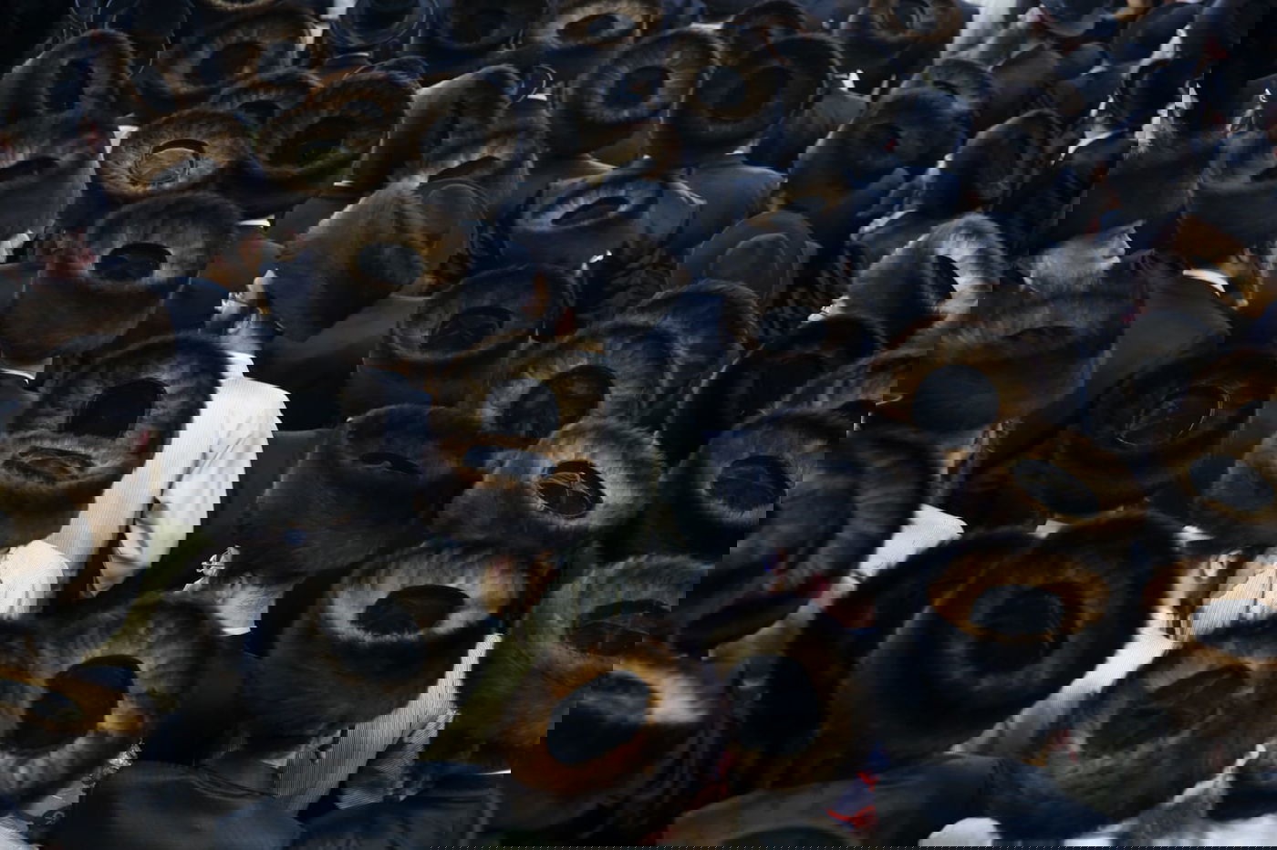 השמחה בהילולת רבי נחמן אצל הרב יעקב מאיר שכטר