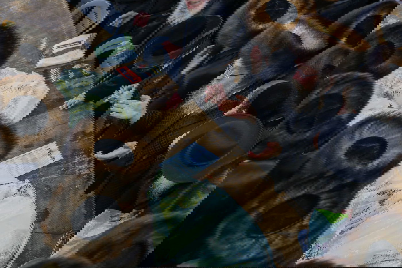 השמחה בהילולת רבי נחמן אצל הרב יעקב מאיר שכטר