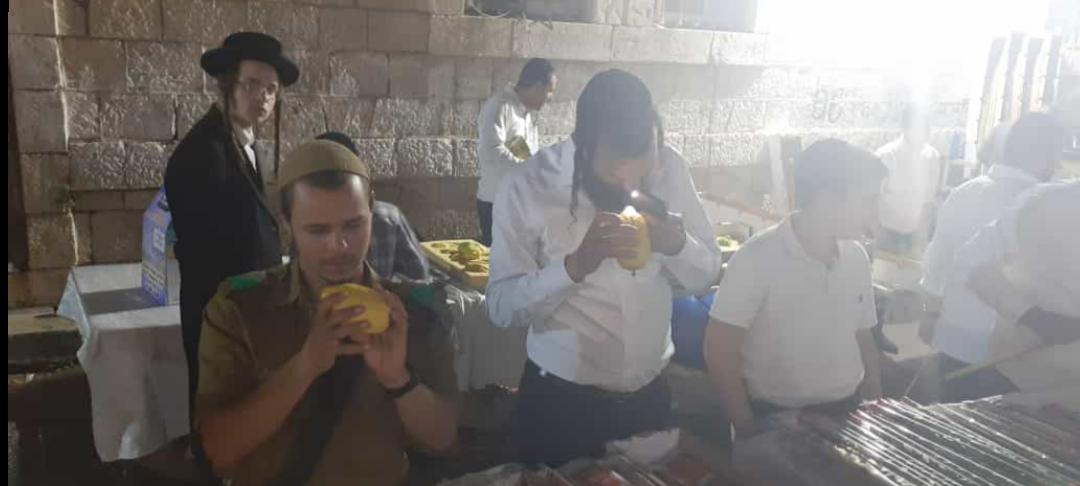 זופניק בכיכר • כל התמונות והנייעס של השבוע