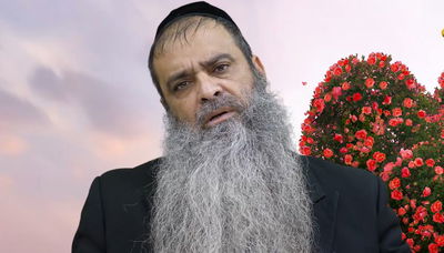 הרב רפאל זר בפינה לשבת חול המועד • צפו