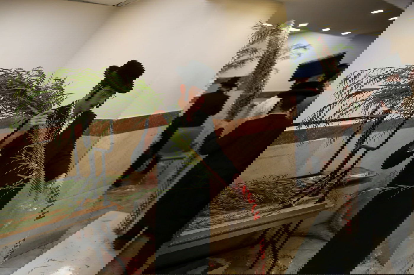 עם קיטל: הירושלמים קנו מורביות להושענות