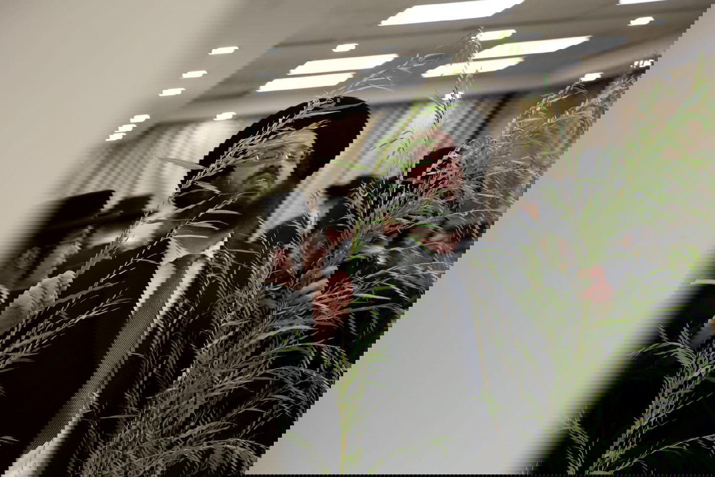 עם קיטל: הירושלמים קנו מורביות להושענות