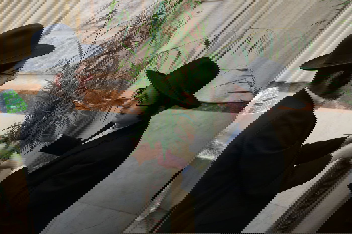 עם קיטל: הירושלמים קנו מורביות להושענות