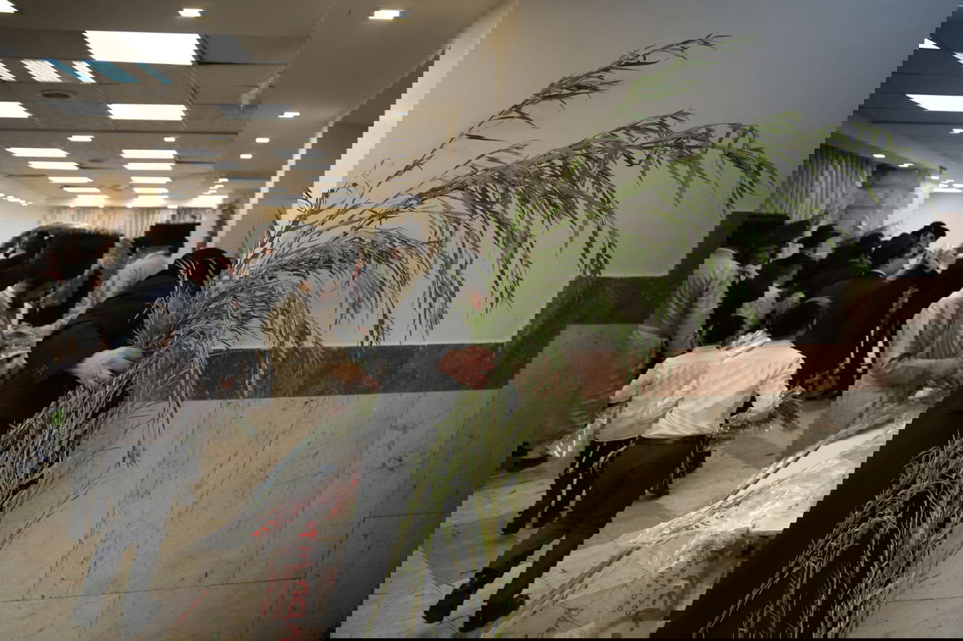 עם קיטל: הירושלמים קנו מורביות להושענות