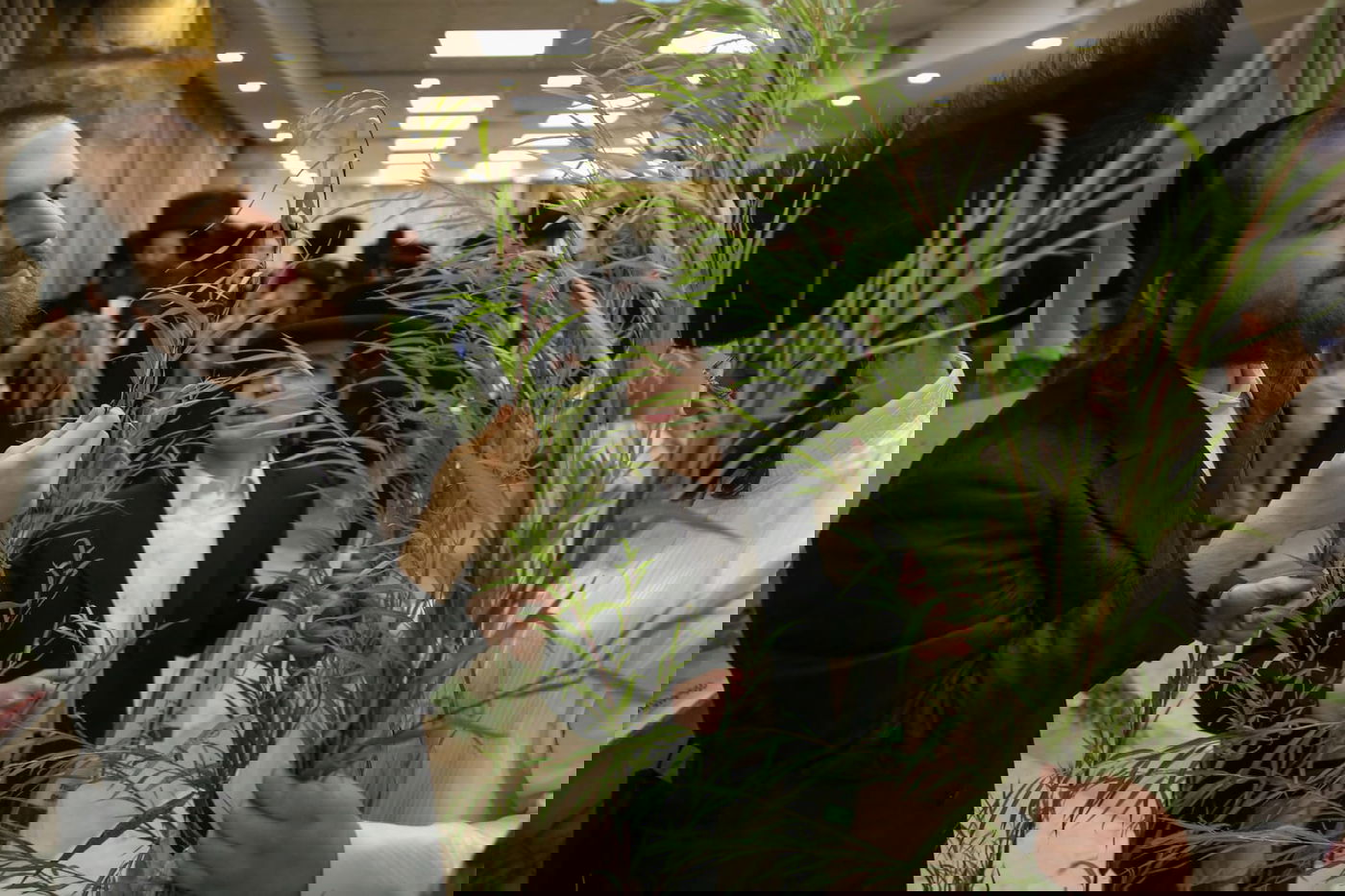 עם קיטל: הירושלמים קנו מורביות להושענות