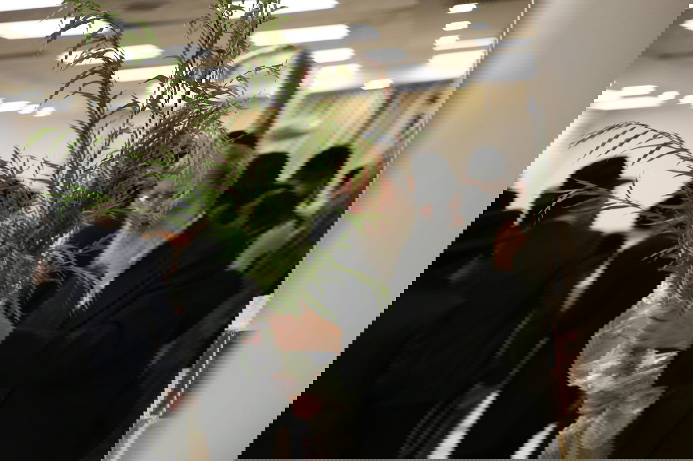 עם קיטל: הירושלמים קנו מורביות להושענות