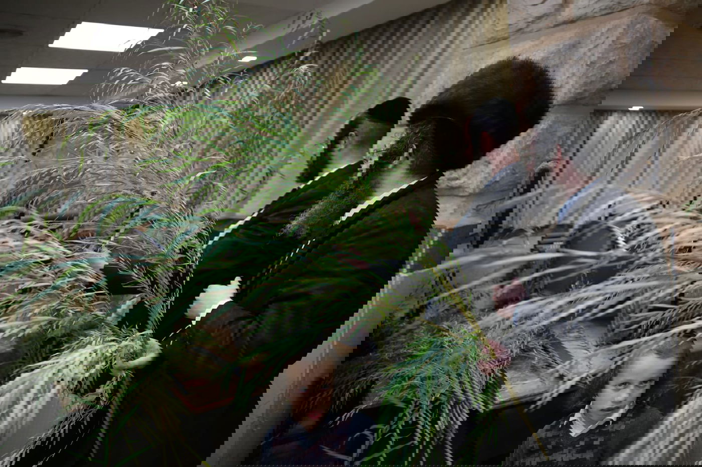 עם קיטל: הירושלמים קנו מורביות להושענות