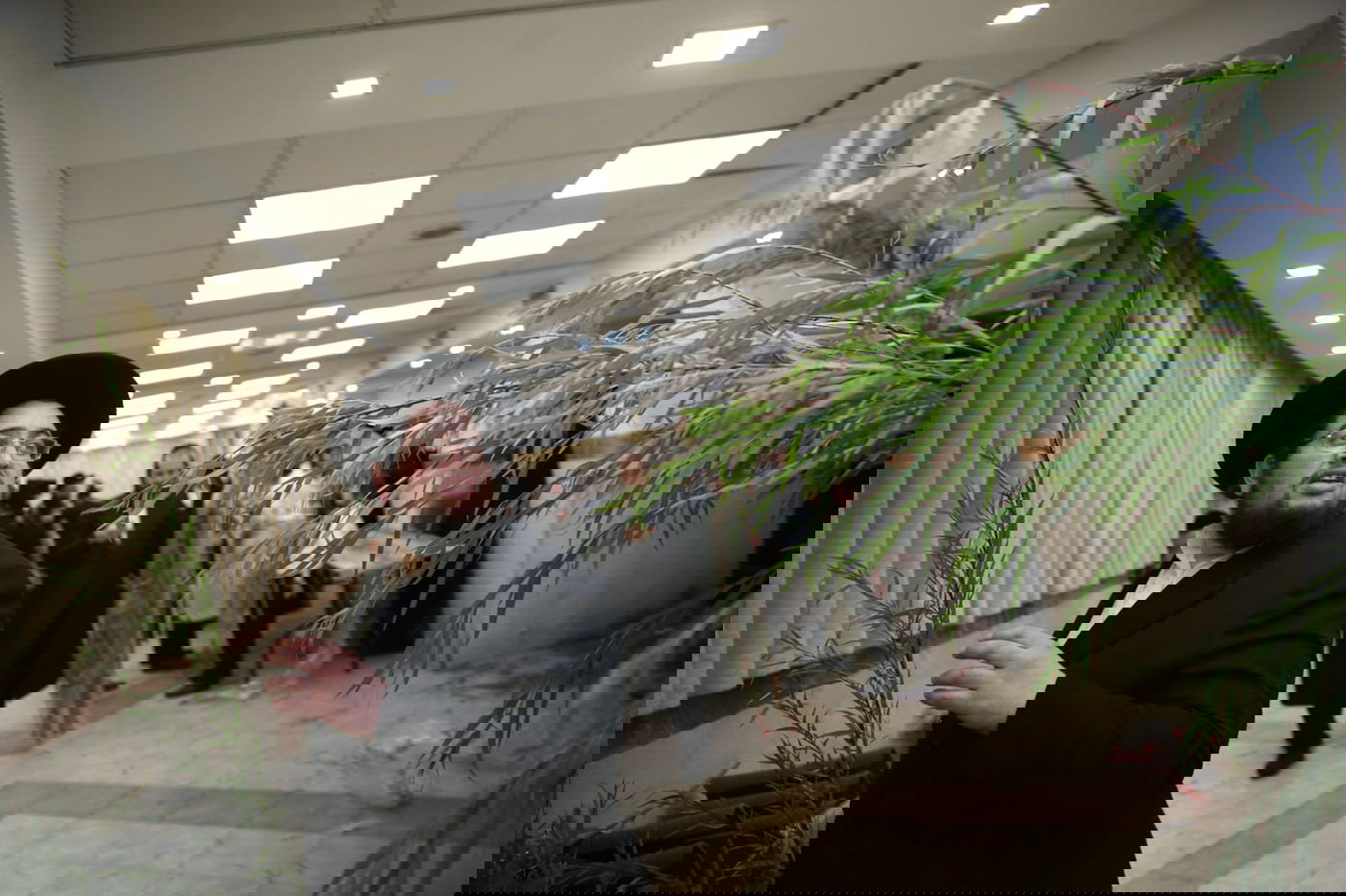 עם קיטל: הירושלמים קנו מורביות להושענות